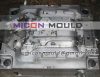 auto interior parts mould